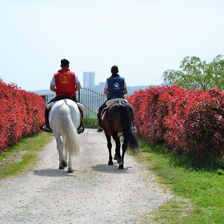 マテーラ Vento Barocco - Equitazione E Turismoヴィラ エクステリア 写真